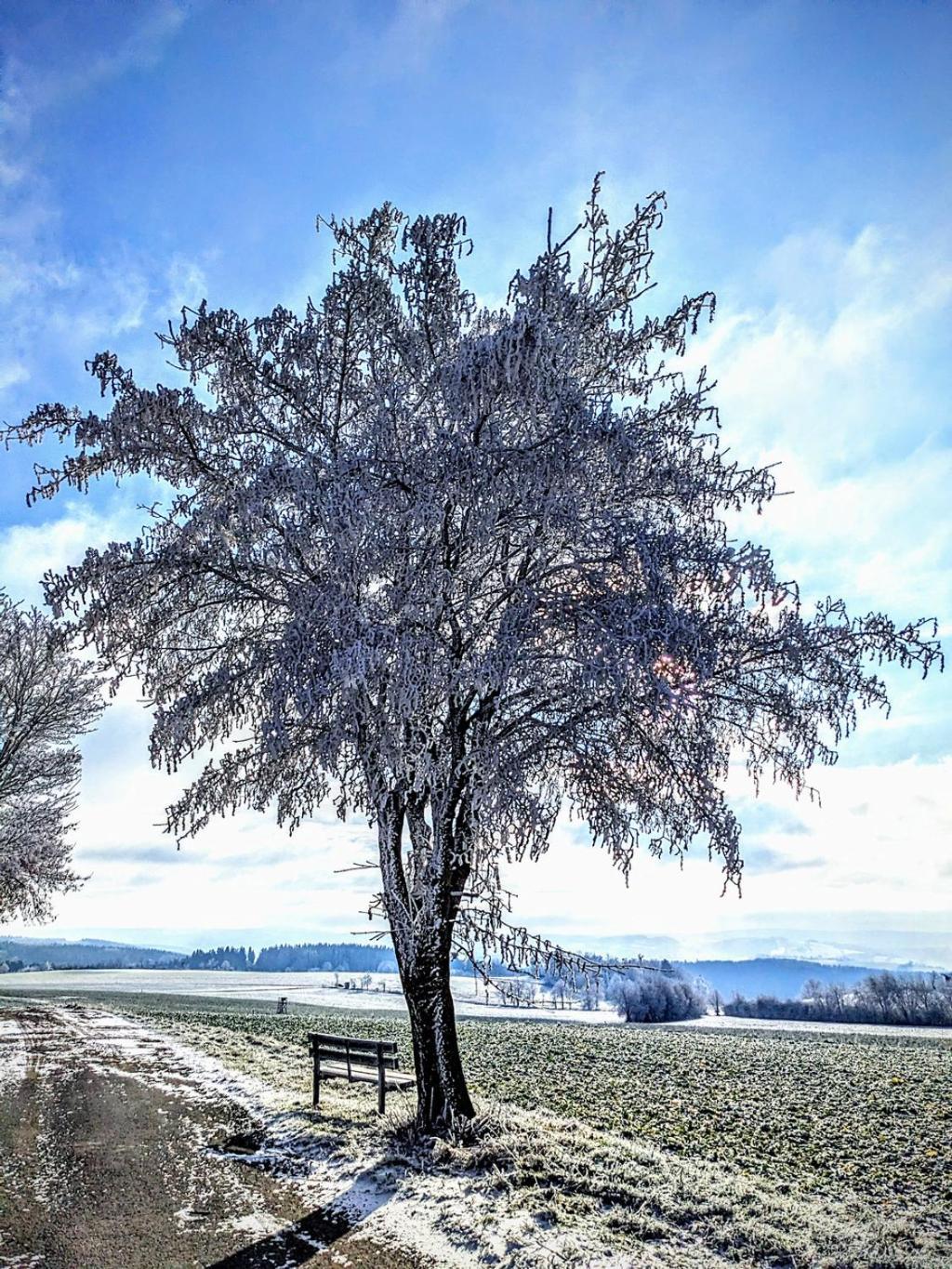 Ferienwohnung Muehl - Einfach Wohlfuehlen Marienberg Exteriör bild